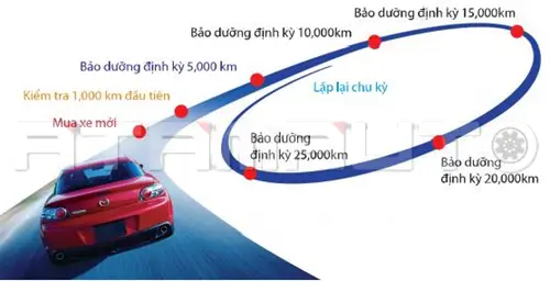 Chi Phí Và Lịch Bảo Dưỡng Định Kỳ Cho Mazda 