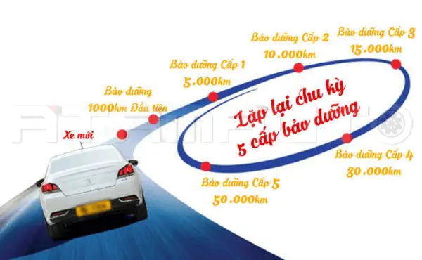 Điều Gì Nên Biết Về Các Cấp Bảo Dưỡng Xe Ô Tô?