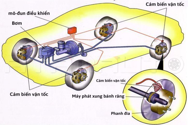 Bảo Dưỡng Hệ Thống Phanh Xe Ô Tô